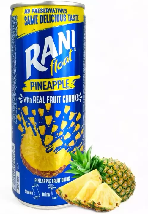Rani Float Pineapple Drink / Ananas juoma 250ml TNK - Limonadit ja virvoitusjuomat - 4406 - 1