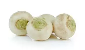 Turnips White Small / Nauris valkoinen - Juurekset  - 6546 - 1