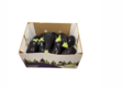 Aubergine Turkish Jackpot 10kg - Vihannekset - 8527 - 2