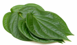 Betel Leaf 10x100gr - Salaatit - 15987 - 1