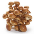 Bundelzwam Nameko sieni 20X150g - Sienet - 18667 - 1