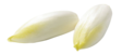 Witlof Belgium Endive/ Sikurisalaatti 5kg - Salaatit - 16387 - 1