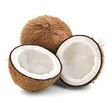 Young Coconuts / Tuore kookos ruskea 9 PCS - Hedelmät - 13437 - 1