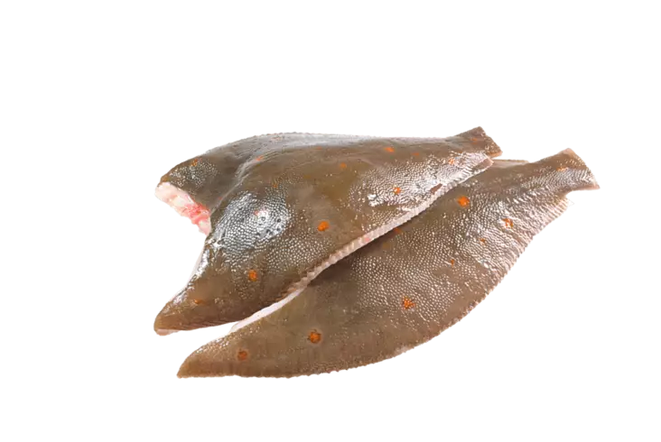 Dayseaday Plaice Panready/ Punakampela 225-275g - Pakastekalat - 9177 - 1