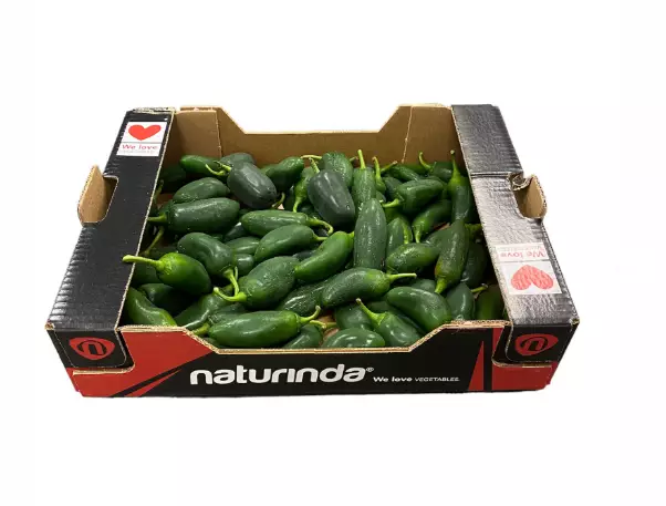 Jalopeno Peper Green / Vihreä jalopeno KG NL - Paprikat,Chilit - 5877 - 1