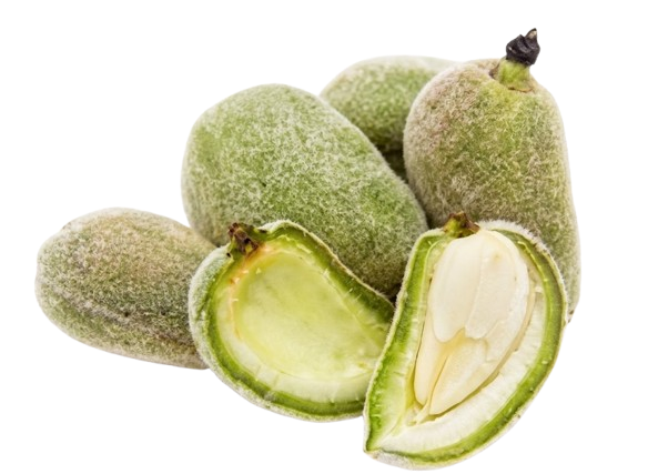 Raaka Manteli 10X500g URD - Hedelmät - 11287 - 1