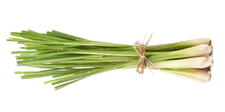Lemongrass / Sitruunaruoho - Juurekset - 10738 - 1