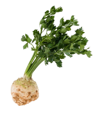 Sellery Roots - Juurekset  - 13028 - 1