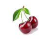 Kirsikka / Sour Cherry / Visne 5kg 26+ - Hedelmät - 11898 - 1