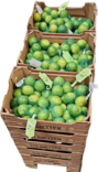 Limes - Vihannekset - 3588 - 1