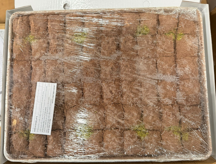 600809E Elite Cold Baklava with Pistachios 3,5kg - Pakastemakeiset ja -jälkiruoat - 19118 - 1