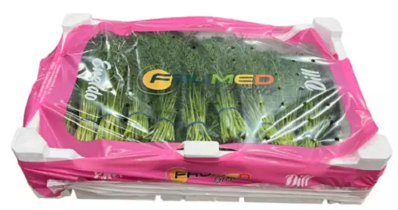 Dill/ Tilli ES - Tuoreyrtit - 1968 - 1