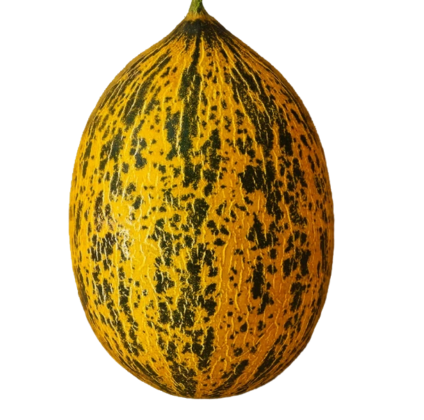 Kirkagac Meloni TR - Hedelmät - 18668 - 1