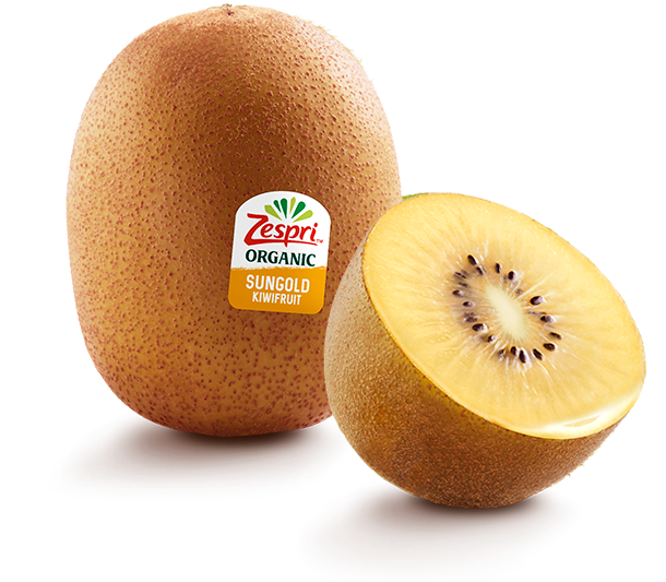 Kiwi Gold / Keltainen kiivi HOLLANTI - Hedelmät - 9498 - 1