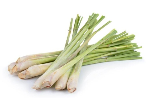 Lemongrass / Sitruunaruoho 5KG KE - Juurekset  - 10738 - 1