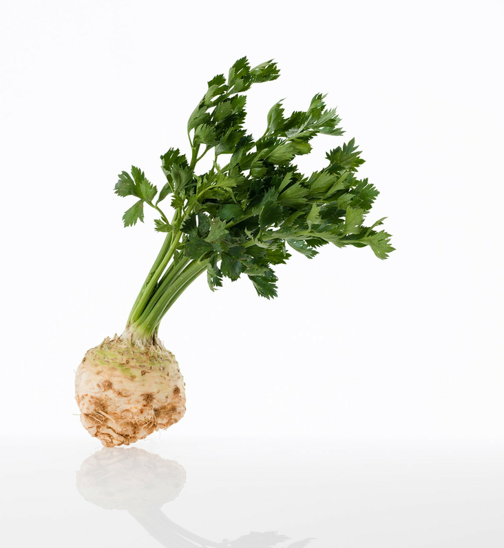 Sellery Roots - Juurekset  - 13028 - 1