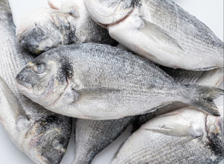 Seabrem Gutted & Descaled IQF 300/400g 80% 5kg - Pakastekalat - 19759 - 1