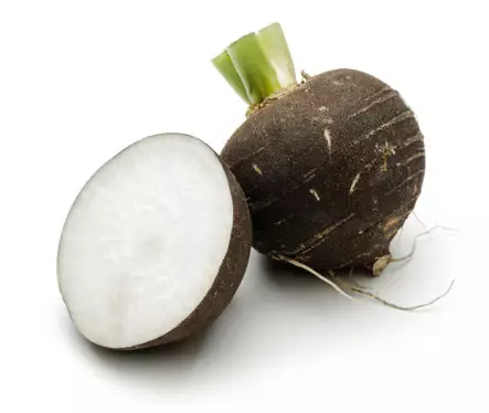 Siyah Salgam / Musta nauris TR - Juurekset - 10389 - 1