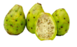Cactusvijg / Kaktusviikuna IT - Hedelmät - 3259 - 1