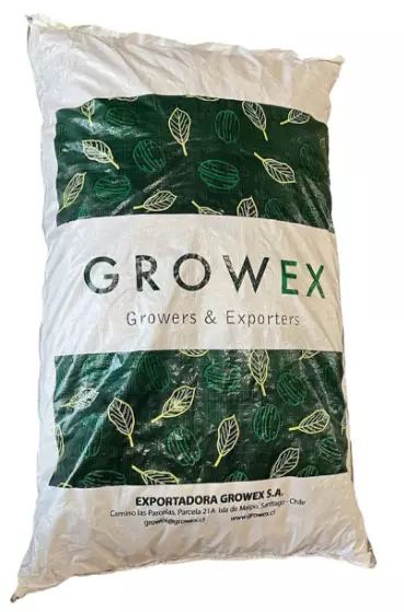 Growex Chile Inshell Walnuts 36+ Extra Light/ Saksanpähkinä Ceviz 25kg - Pähkinät - 1229 - 1