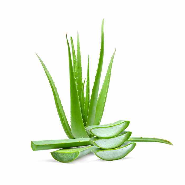 Aloe Vera 5KG - Hedelmät - 13869 - 1