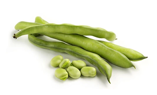 Broad Beans / Härkäpapu IT - Pavut - 5589 - 1
