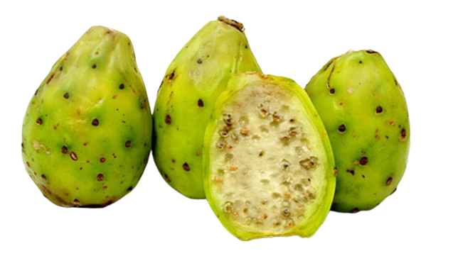 Cactusvijg / Kaktusviikuna IT - Hedelmät - 3259 - 1