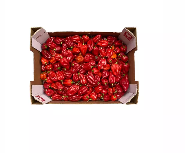Habanero Red 4KG - Paprikat,Chilit - 6479 - 1