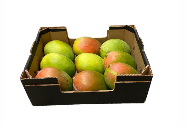 Mango BR - Hedelmät - 3699 - 1