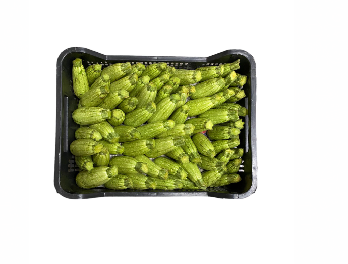 Mini Beyaz Kabak/ Mini kesäkurpitsa 5kg ES - Kurkut, Kurpitsat, Munakoisot - 11679 - 1