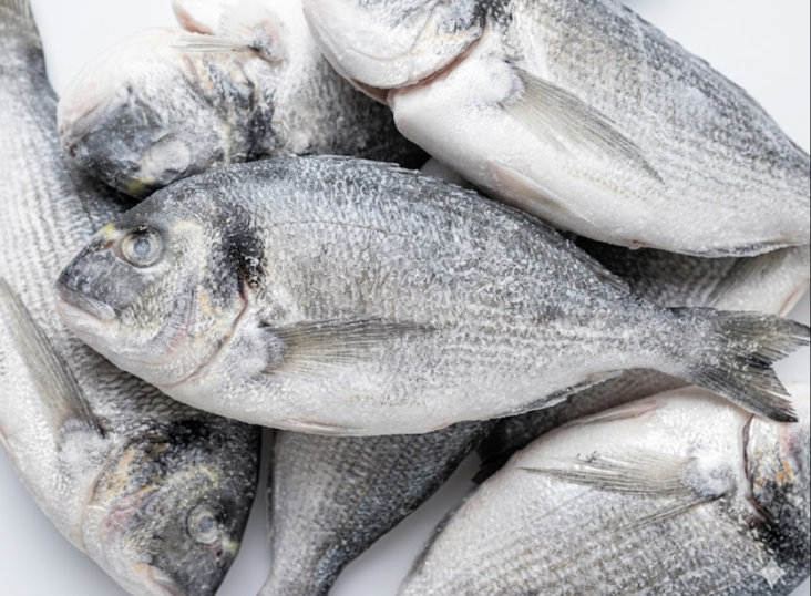 Seabrem Gutted & Descaled IQF 300/400g 80% 5kg - Pakastekalat - 19759 - 1