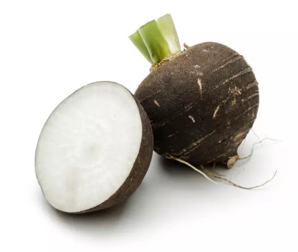 Siyah Salgam / Musta nauris TR - Juurekset  - 10389 - 1